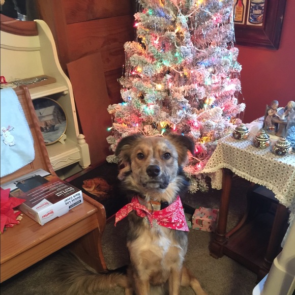 Meet your Posher, Rebecca - Picture 4 of 14